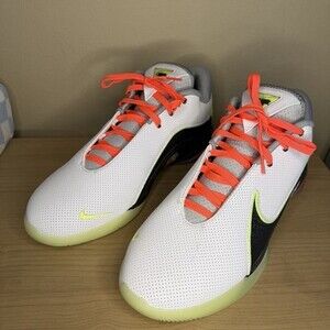 Nike LeBron XXII 22 Crown Jewel EP Moonlight Volt Ash Grey Nby FZ1094-101 Men 14